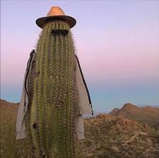 How to make cactus armor in terraria 1.4! Cactus Armor Irl Chippygaming