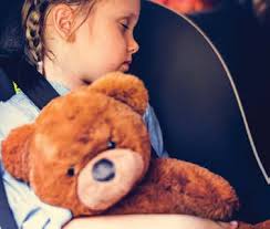 Manitoba Registered Music Teachers' Association Journal