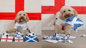 Anh vs scotland lúc 2h00 ngày hôm nay 19/6 (vck euro 2020): B43opdimd3sv7m