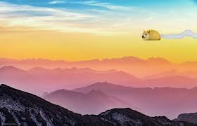 8 Aesthetic Doge Wallpapers In Hd Doge Much Wow