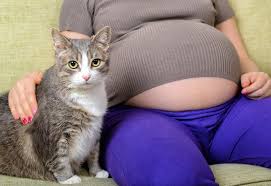Prank text, pap tt, pap tt twitter, pap tt no sensor, pap tt sapi, pap tt smp, pap tt kucing, pap tt hot, pap tt besar, pap tt gede, pap tt. Main Kucing Saat Hamil Benarkah Berisiko Toksoplasma