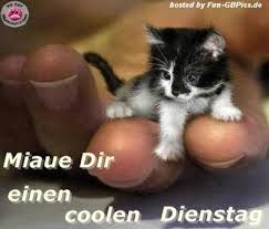 See more of schöne, lustige, erotische bilder und zitate on facebook. Schonen Dienstag Lustig Facebook Bilder Whatsapp Bilder Gb Bilder Jappy Bilder