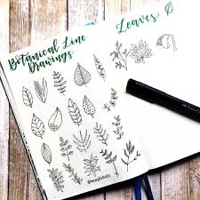 Maybe you would like to learn more about one of these? My Calligrabestie Alex Movingfwd And I Are Both Practicing Our Botanicallinedrawing This Month Plant Drawing Bullet Journal Minimalist Bullet Journal Themes