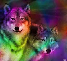 Hd pferde hintergrundbilder hd hintergrundbilder pferde tapete pferdegemalde hintergrundbilder. Rainbow Wolf Wallpaper