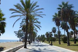 Established in 1769 as colonial spanish harbor to serve the pueblo de los angeles, and annexed to los angeles in 1909. Playa San Pedro De Alcantara Strand Marbella Andalusien 360