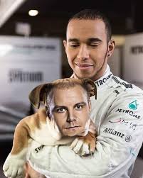 Explore and share the best bottas memes and most popular memes here at memes.com. 13 Valtteri Bottas Ideas Valtteri Bottas Formula 1 Formula One