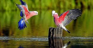 Ultra hd wallpapers 4k, 5k and 8k backgrounds for desktop and mobile. Hd Vertical Wallpapers Page Full Hd Wallpaper Hd Download For Android Mobile 1600x2560 Wallpaper Teahub Io