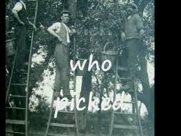 Located in leamington spa, warwickshire. Cherry Ladders And Fruit Picking Edawardian Farm Youtube