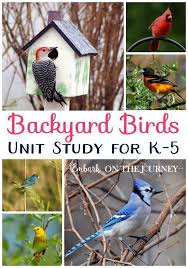 Engagierende Backyard Birds Unit Study Fur Kinder In K 5 Backyard Birds Engagierende Fur Kinder Study Unit 2020