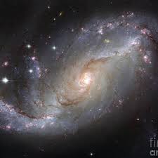 Es del tipo espiral barrada, hace poco se descubrió que nuestra galaxia. Barred Spiral Galaxy Ngc 6217 Photograph By Science Source