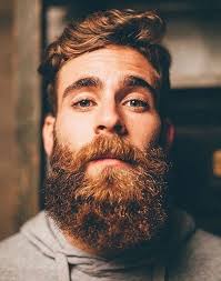Bearditorium Beard No Mustache Beard Facts Beard Grooming