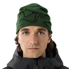 ARC\'TERYX Bird Head Toque Eden