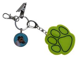 Image result for foxteriér hladkosrstý