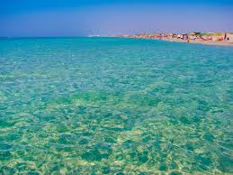 Image result for ugento