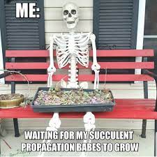Check spelling or type a new query. Like Watching Paint Dry Only Better Proplifting