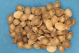 Image result for Plum 1957 Hudson