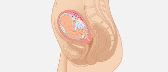 Week 18 Baby Starts Kicking India Parenting