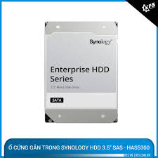 Ổ Cứng Gắn Trong Synology HDD 3.5 Inch SAS 12TB -HAS5300-12T
