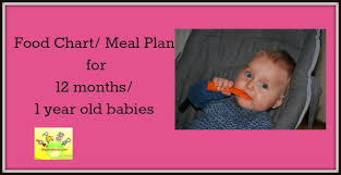 12 Month Baby Food Chart Indian Meal Plan For 1 Year Old