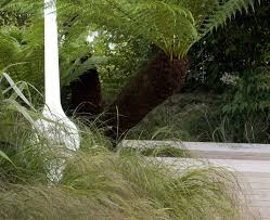 This Is Our Own Studio Garden We Were Very Demanding Clients Needing To Turn Our Tiny Outside Space Into A Pl Small Garden Design Garden Design Small Garden
