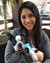 Are Boston Terriers Good With Other Dogs Hookd On Phoenix