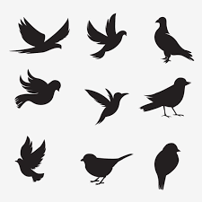 Bird Sitting On Branch Png Bird Silhouette Collection Silhouette Bunny Shadow Png And Vector With Transparent Background For Free Download In 2020 Bird Silhouette Silhouette Art Shadow Painting