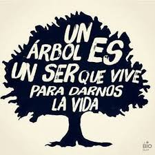 Día del árbol by delavibora 444 views. 29 De Agosto Dia Del Arbol Dia Del Arbol Arboles Cuidar El Planeta