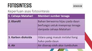 Iya, tumbuhan tersebut bergerak secara pasif, tetapi tidak bergerak aktif layaknya manusia dan hewan. Nota Proses Hidup Tumbuhan Tahun 4