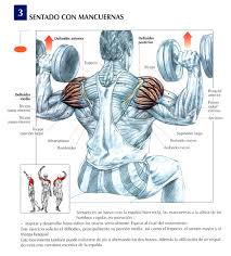 Las metálicas te permiten un mejor agarre aunque los ejercicios con mancuernas para las piernas trabajan los músculos superiores, inferiores e internos de los muslos así como los gemelos. Rutina De Ejercicios Con Mancuernas En Casa Dietas De Nutricion Y Alimentos