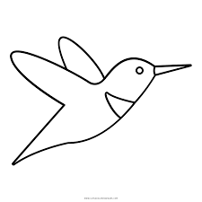 Maybe you would like to learn more about one of these? Hummingbird Coloring Page Ultra Coloring Pages