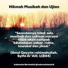 1496689 10154723853984947 4307845293419887127 N Jpg 960 960 Bijak Kata Kata Penduduk Asli Amerika