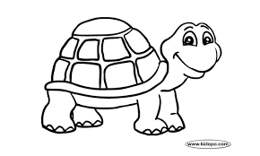 Gambar hitam putih untuk mewarnai : 10 Contoh Sketsa Kura Kura Yang Mudah Dan Simple Broonet