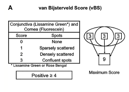 Image result for VAN Score