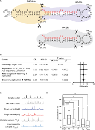 Amyotrophic lateral sclerosis (als), commonly known as lou gehrig's disease, is a progressive neuromuscular disease. Human Genetics And Neuropathology Suggest A Link Between Mir 218 And Amyotrophic Lateral Sclerosis Pathophysiology Science Translational Medicine