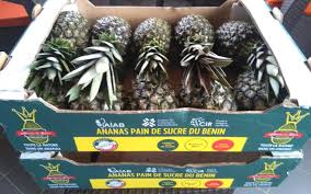 Aissatou Diallo On Twitter Ananas Pain De Sucre La Gaterie Beninoise Finalement Accessible Au Monde Entier Prcpc