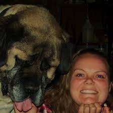 K9's Unleashed Academy LLC.