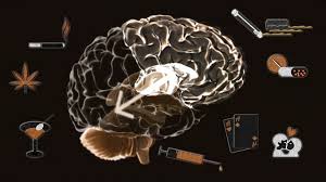 Mit dieser verhältnismäßig geringen masse steuert es nahezu alle lebenswichtigen. Die Neurobiologie Der Sucht Dasgehirn Info Der Kosmos Im Kopf