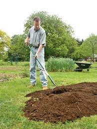 Goodbye Grass Hello Garden Organic Gardening Magazine Garden Soil Lawn And Garden