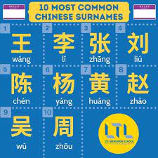 Try our last name generator or last name generator if you are looking for a name for book, etc. Chinese Names Guide For 2021 Unlock The Secrets Now