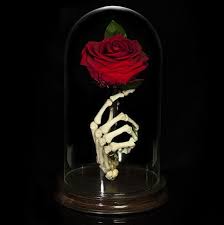 Discover thousands of premium vectors available in ai and eps formats. Pin By Christina Akkad On Backgrounds Hand Holding Rose Human Skeleton Skeleton Hands