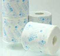 Super Deodorizing Toilet Paper (Pack of 12)