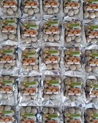 Pengawet makanan beku pengganti biang es. Kuih Tradisional Sejuk Beku Aizan Food Pedas Nik Nock
