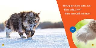 Be the first to know about our breeding plans and kittens for sale. Maine Coons Jump Inc