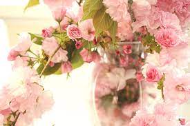 H, and the medium vase is 14.25in. Dreamy Shabby Chic Cottage Pink Cherry Blossoms Flowers In Vase Photograph By Kathy Fornal