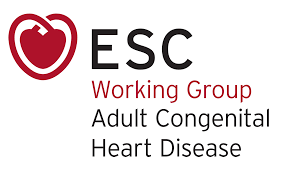 European society of cardiology official twitter account. Esc Working Group On Adult Congenital Heart Disease