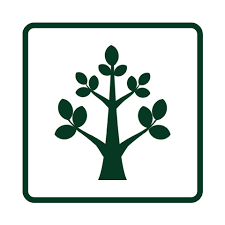 Image result for Ctenium somalense