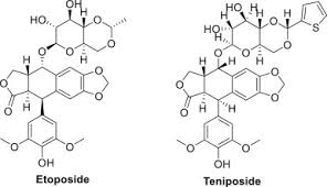 Image result for Podophyllotoxin