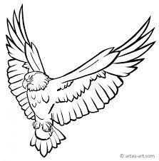 Weitere ideen zu bilder zum ausdrucken, ausdrucken, bilder. Adler Ausmalbild Gratis Ausdrucken Ausmalen Artus Art