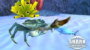 This method of using hunting shark simulator 3d apk works for all android devices. Shark Simulator Apk 1 2 Download For Android Download Shark Simulator Apk Latest Version Apkfab Com