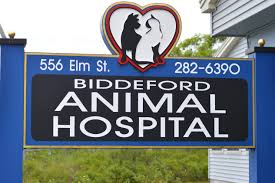 Midwest bird and exotic animal hospital. Home Veterinarian In Biddeford Me Biddeford Animal Hospital